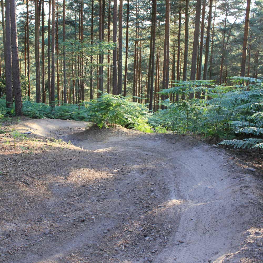 Holmbury Hill Trails
